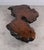 Impressive mid century coffee table formed from a substantial natural rootwood slab The top with dramatic freeform...