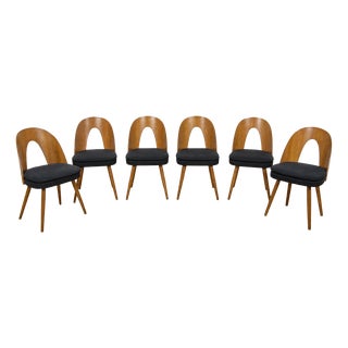 Mid-Century Oak Dining Chairs by Antonín Šuman for Tatra Nábytok, Czechoslovakia, 1960s, Set of 6 For Sale