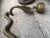 Brutalist Gold Snake Wall Candleholder, 1970s For Sale - Image 3 of 11