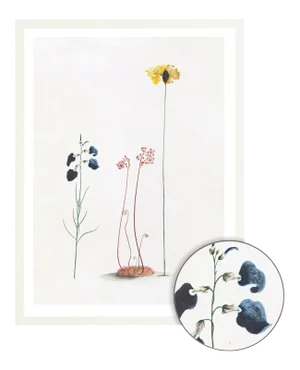 Celerie Kemble Curated Australian Botanical III (16x20) in White Frame