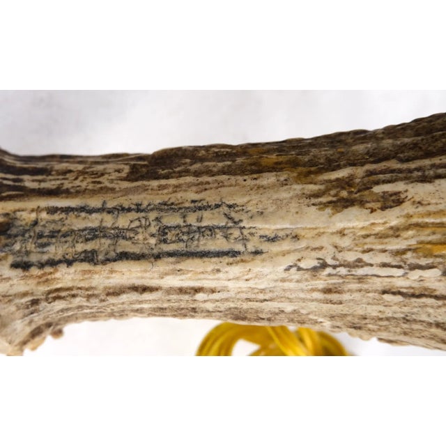 Pair of Very Large Antler Horn Bases Artist Signed Table Lamps Folk Art Modern For Sale - Image 9 of 13