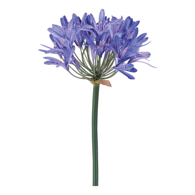 Agapanthus Flower Stem (Set of 2) For Sale