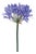 Agapanthus Flower Stem (Set of 2) For Sale
