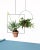 Not Yet Made - Made To Order THEO Circle Plant Hanger by Llot Llov, 2015 For Sale - Image 5 of 6