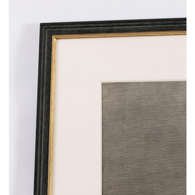 Antique Large Framed Drawing of the Capitoline Antinous For Sale - Image 5 of 11