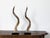 Mid-Century Modern Pair of European Midcentury Horns Mounted on Silver and Black Stepped Bases For Sale - Image 3 of 8