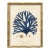 Vintage Blue Seaweed Art Print Reproduction (2), Framed For Sale