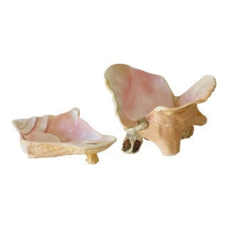 1940s Sea Shell Bowls With Spoon - 3 Pieces For Sale