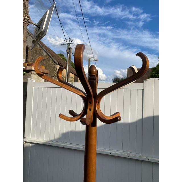 Brown Swivel Parrot Coat Rack in Curved Wood, 1970s For Sale - Image 8 of 15