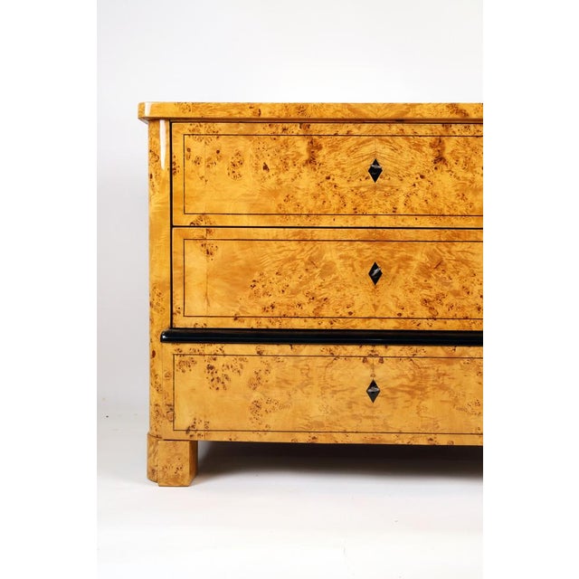 Biedermeier Chest of Drawers in Maple Burl, 1830 For Sale - Image 10 of 15