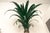 Mid 20th Century 1970s Custom Palm Tree Form Wall Torcheres 9 Ft High - a Pair For Sale - Image 5 of 12