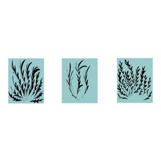 16 X 20 Ocean Seaweed Limited Edition Canvas Prints - Set of 3 For Sale