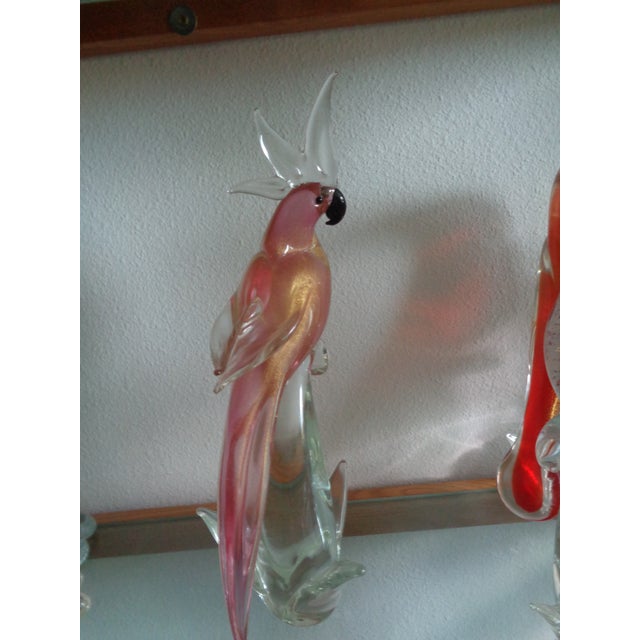 1980s IItalian Vintage Cockatoo For Sale - Image 5 of 8