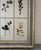 Large 19th Century French Mounted Botanical Herbiers For Sale - Image 12 of 16