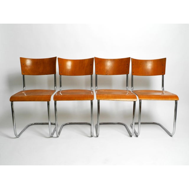 Four 1930s cantilever tubular steel Bauhaus chairs. Design by the well-known Dutch architect Mart Stam. Manufacturer is...