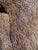 Scalamandre Beige-Gold Boucle Heavy Upholstery Fabric- 2 Yards For Sale In Atlanta - Image 6 of 8
