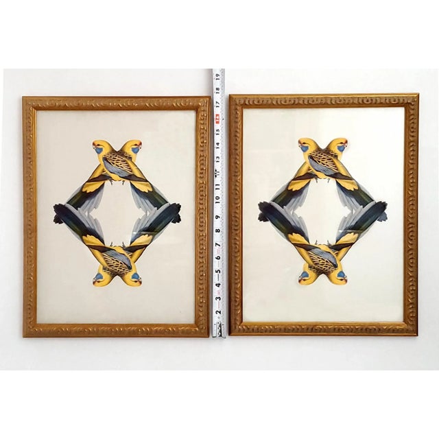 Wood Print Pair Parrots For Sale - Image 7 of 10