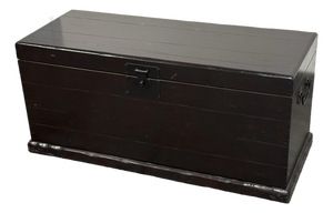 Pottery Barn Emmett Zen Brown Trunk/Coffee Table