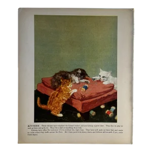 1940s Diana Thorne Kittens Illustration Print