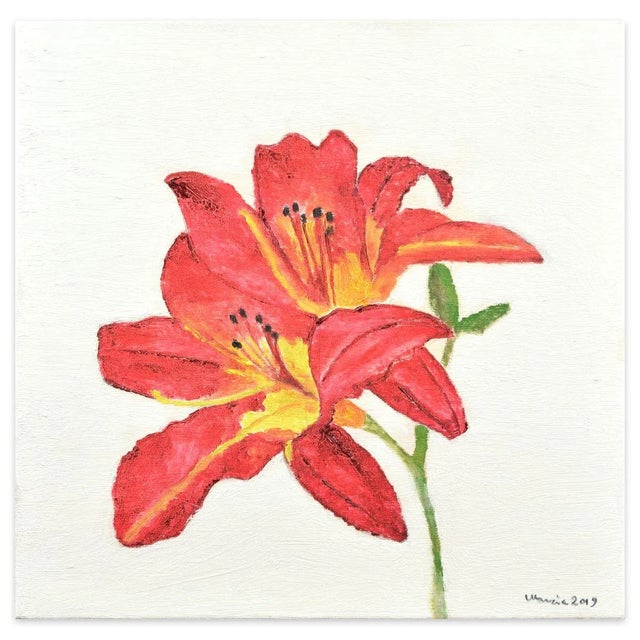 Hemerocallis - Original Oil on Canvas by Marzia Trinca - 2019 2019 For Sale - Image 4 of 4