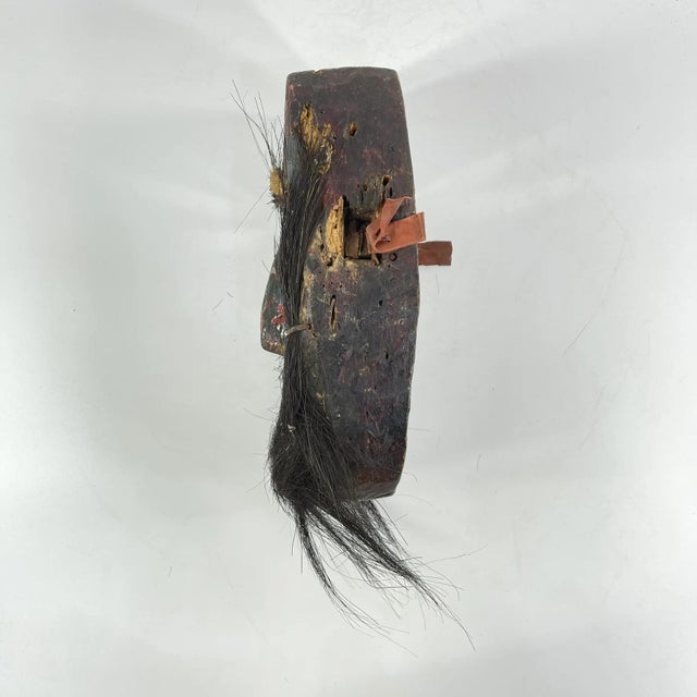 Early 20th Century Ibibio Carved and Painted Cross River Mask Nigeria For Sale - Image 10 of 11