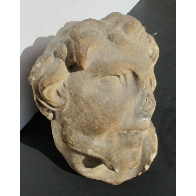 Dove Gray Limestone Satyr Head For Sale - Image 8 of 8