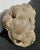 Dove Gray Limestone Satyr Head For Sale - Image 8 of 8