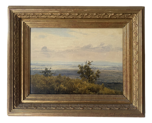 After Friedrich Loos, Donaulandschaft, 1800s, Oil Painting on Canvas, Framed