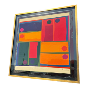 Framed Mercedes Pardo Silk Print