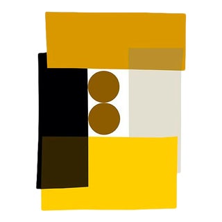 Yellow Tuxedo Fine Art Print 16" X 20" by Liz Roache For Sale