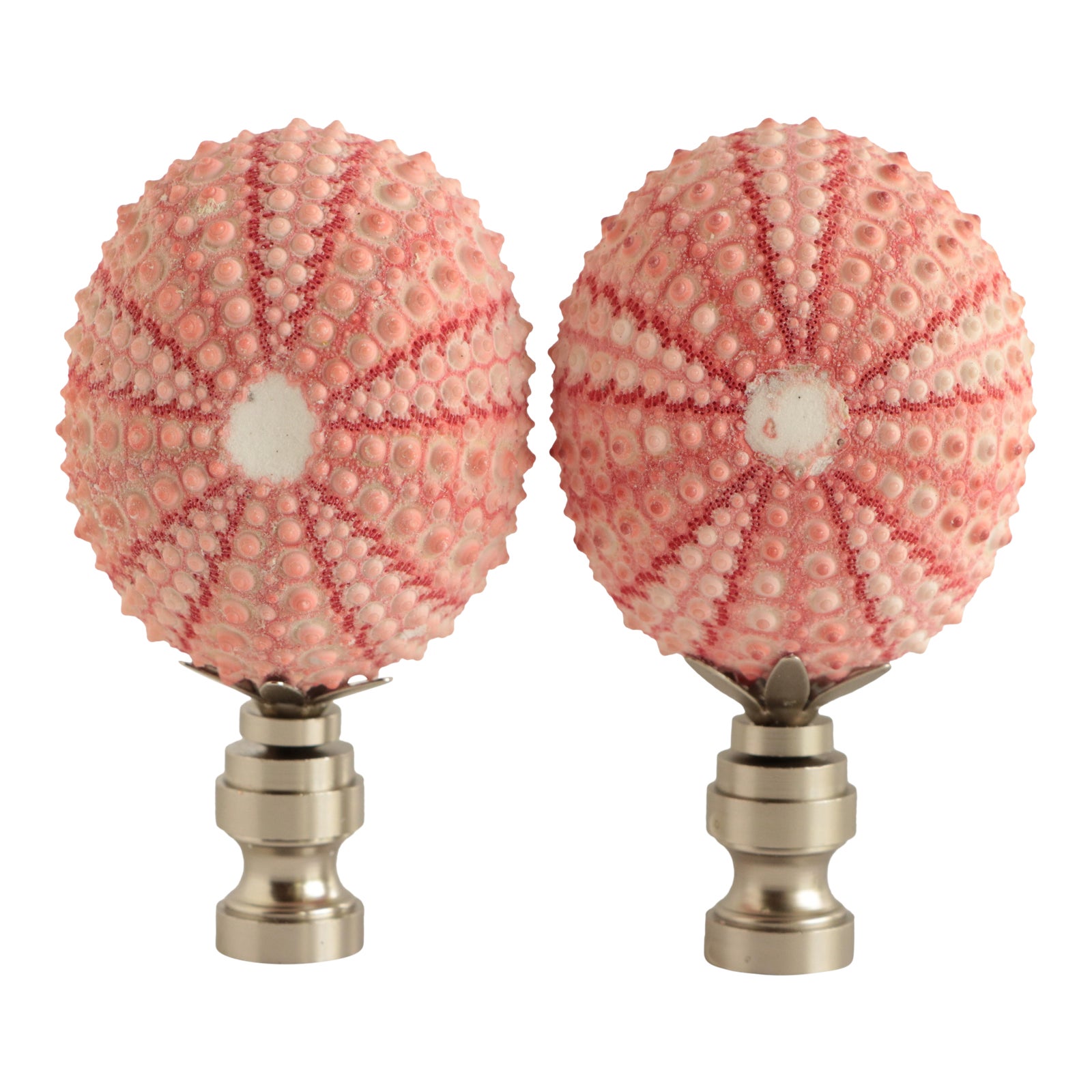 Coral Pink Sea Urchin Lamp Finials a Pair Chairish