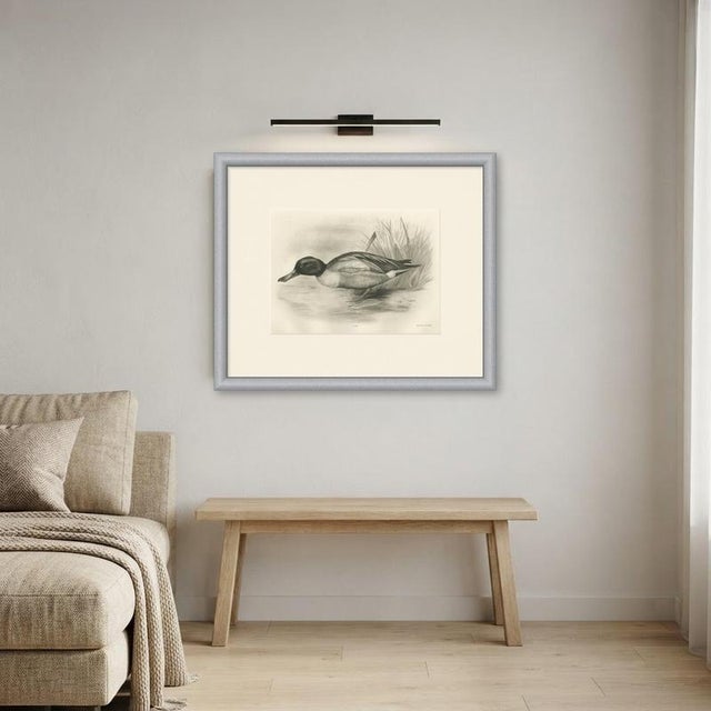 After Lilian Medland, Drake on the Water, 1909, Print For Sale - Image 11 of 12