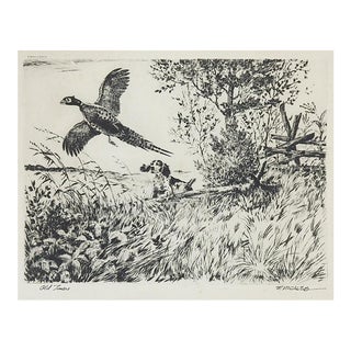 Mid 20th Century Bird Dog and Pheasant Etching For Sale