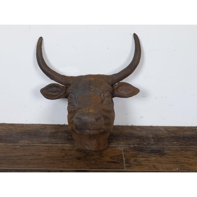English 1930s-1940s Cast Iron Bull Wall Hanging Sculpture with Rusty Patina For Sale - Image 4 of 11