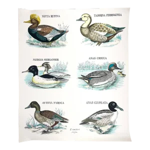 French Poster Size Lithograph of Ducks by Serge Lassus - Signed