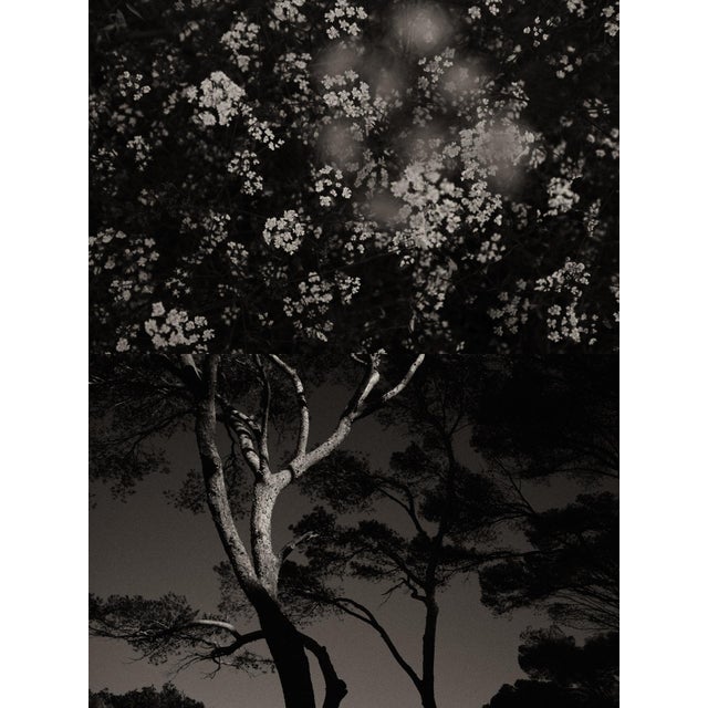 Gaia Diptych #108 by Jaume Llorens Bach is a 18cm x 24cm Black and White print on Premio Kozo gsm White Paper by Awagami...