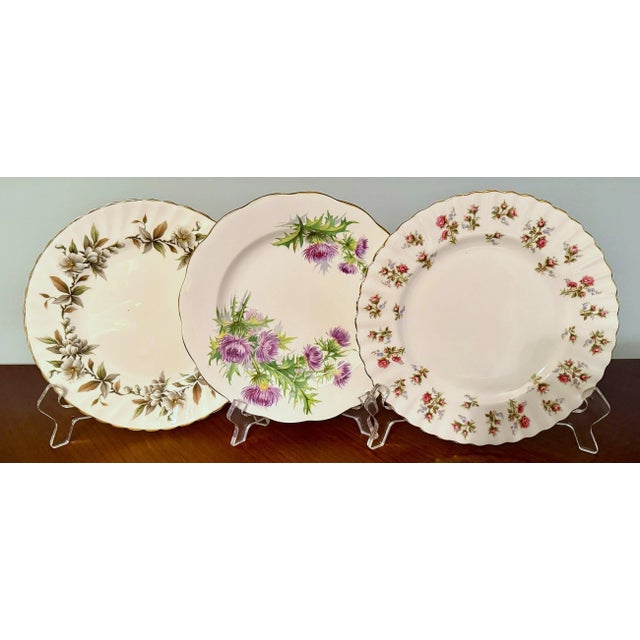 English Fine Bone China Dessert Plates - S/12 For Sale - Image 11 of 12