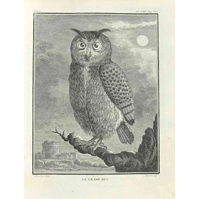 Jacques Baron, Le Grand Duc, Etching, 1771 For Sale