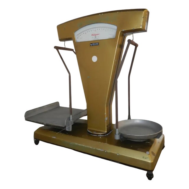 Fulgor Scale in Gold For Sale