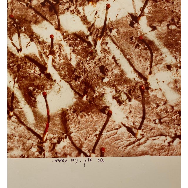 1980s Gerard Allon, Vintage Color Photograph Hebrew "Slaves We Were" Signed C Print Photo Israeli, 1982 For Sale - Image 5 of 9