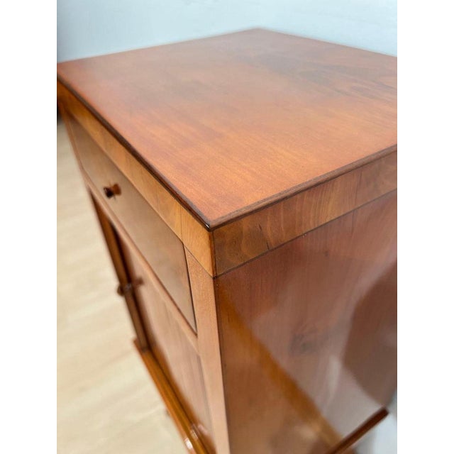 Biedermeier Pillar Cabinet in Cherry Veneer, 1820 For Sale - Image 11 of 18