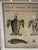 Natural Curiosities Large 1765 French Leatherback Sea Turtle Study Reproduction Print, Framed For Sale - Image 4 of 10