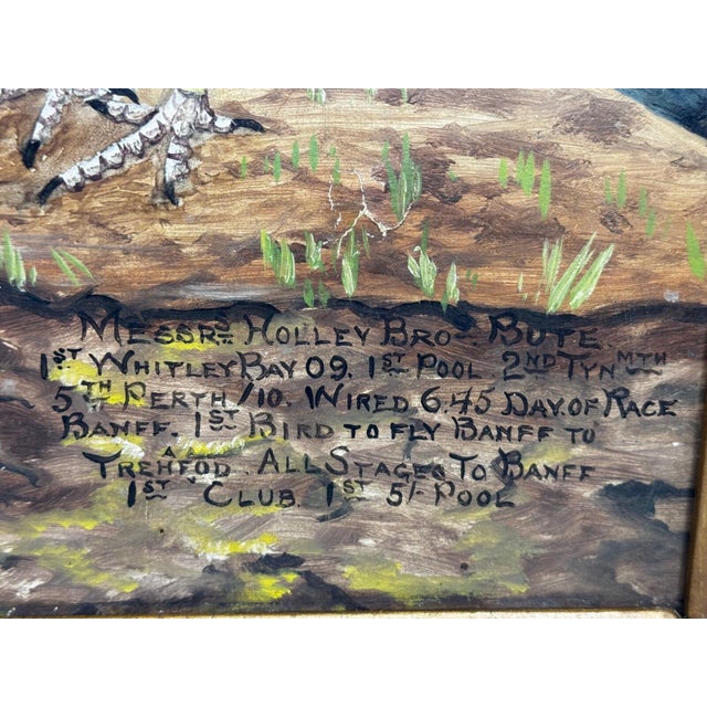 Old Badge Hen & Champion Cock Racing Pigeons Oil Portrait Winner Whitley Bay 1909 in the Manner of Andrew Beer. For Sale - Image 15 of 18