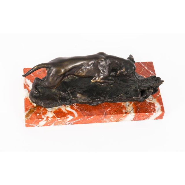 Carl Kauba, Hunting Dog, 19th Century, Bronze and Marble For Sale - Image 10 of 15