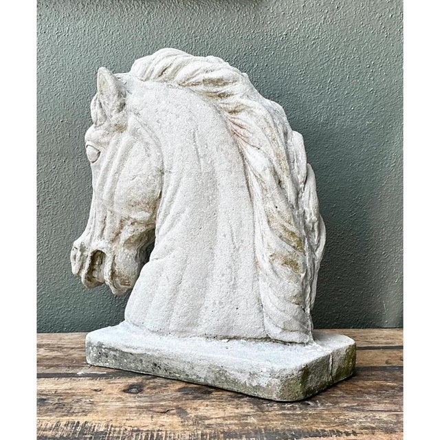 Mid 20th Century Vintage Cement Equestrian Bust For Sale - Image 5 of 12