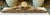 18th Century Italian Carved Giltwood Baroque Winged Angel Cherub For Sale - Image 10 of 12