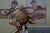 Francis Bacon (1909-1992) Claude Bernard Gallery: 1977 Exhibition Original color poster On poster paper, 52 x 71 cm...