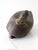 Rubber Mid Century Rubber Plasti-Duk Duck Decoy For Sale - Image 7 of 12