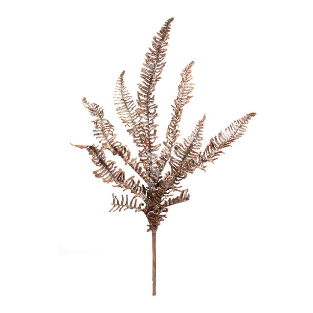 Rustic Icy Winter Fern Spray (Set of 6) For Sale - Image 3 of 3
