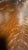 Late 19th Century Tiger Oak Huntboard Hutch Cabinet For Sale - Image 16 of 18